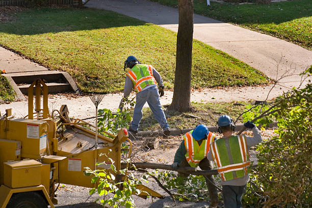 Best Aeration Services  in Pepperdine University, CA